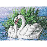 Tundra Swan Animals