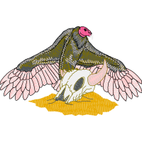 Turkey Vulture Animals Turkey Vulture Animals