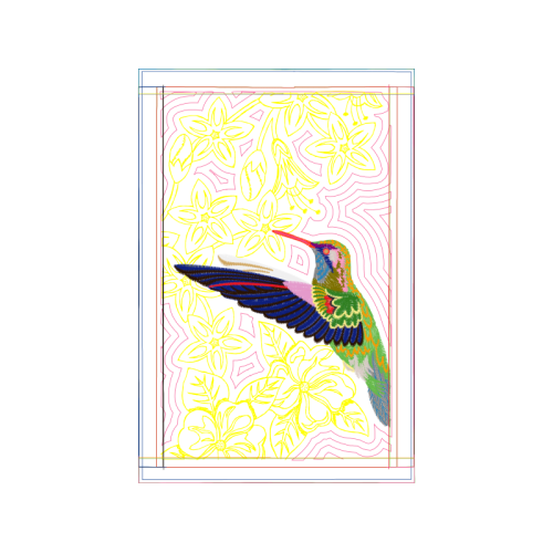 Visual Arts Animals Visual Arts Animals