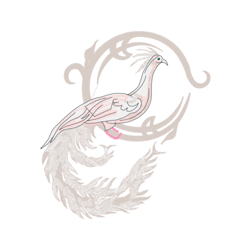 Visual Arts Animals Visual Arts Animals