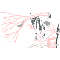 Visual Arts Animals Visual Arts Animals