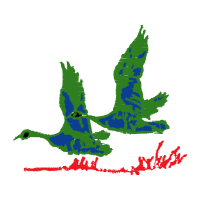 Visual Arts Animals Visual Arts Animals