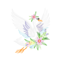 Visual Arts Animals Visual Arts Animals