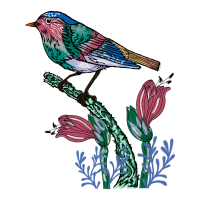 Visual Arts Animals Visual Arts Animals