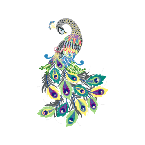 Visual Arts Animals Visual Arts Animals