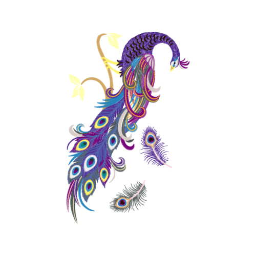 Visual Arts Animals Visual Arts Animals