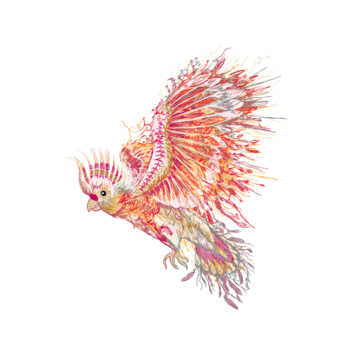 Visual Arts Animals Visual Arts Animals