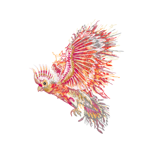 Visual Arts Animals Visual Arts Animals