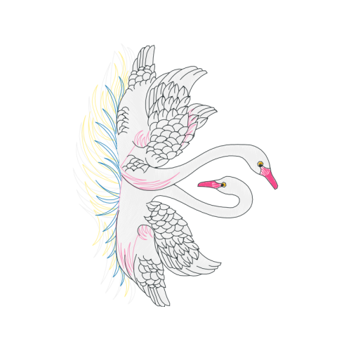 Visual Arts Animals Visual Arts Animals