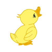 Visual Arts Animals Visual Arts Animals