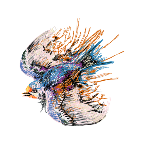 Visual Arts Animals Visual Arts Animals