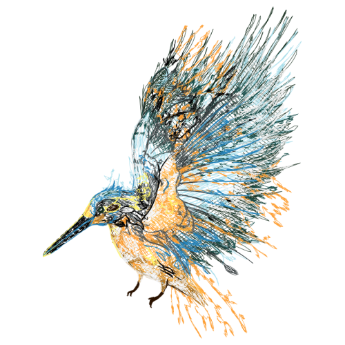 Visual Arts Animals Visual Arts Animals