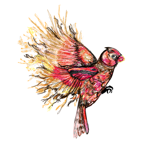 Visual Arts Animals Visual Arts Animals