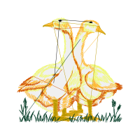 Water Animals Water Animals