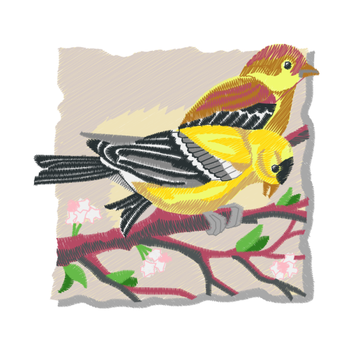 Western Tanager Animals Western Tanager Animals