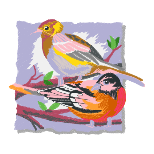 Western Tanager Animals Western Tanager Animals