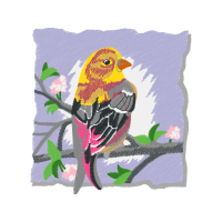 Western Tanager Animals Western Tanager Animals