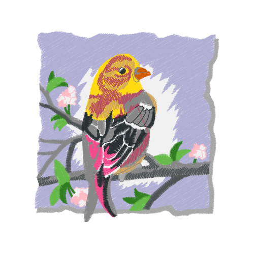 Western Tanager Animals Western Tanager Animals