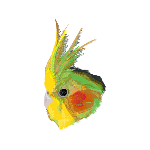 Western Tanager Animals Western Tanager Animals