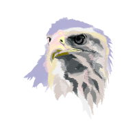 White Breasted Nuthatch Animals