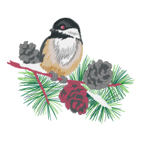 White Crowned Sparrow Animals White Crowned Sparrow Animals