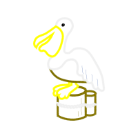 White Stork Animals White Stork Animals