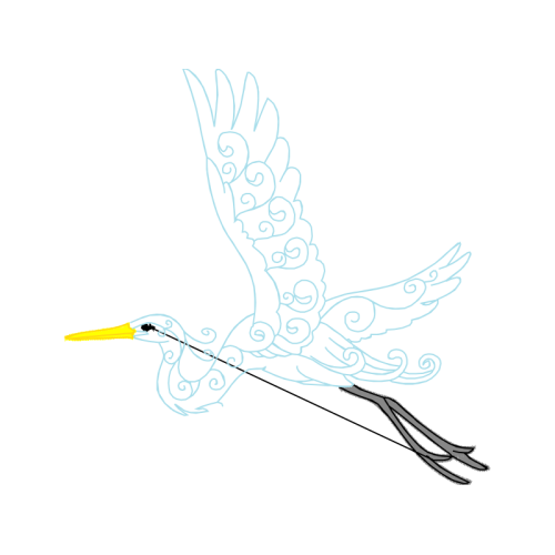 White Stork Animals White Stork Animals