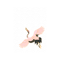 White Stork Animals White Stork Animals