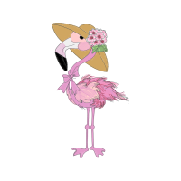 White Stork Animals White Stork Animals