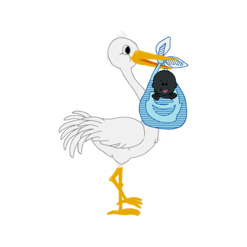 White Stork Animals White Stork Animals