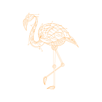 Whooping Crane Animals Whooping Crane Animals