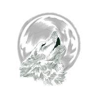 Wolf Animals Wolf Animals