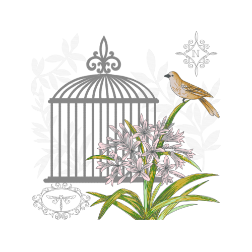 Wood Thrush Animals Wood Thrush Animals