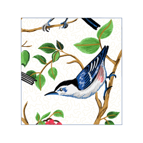 Wrens Animals Wrens Animals