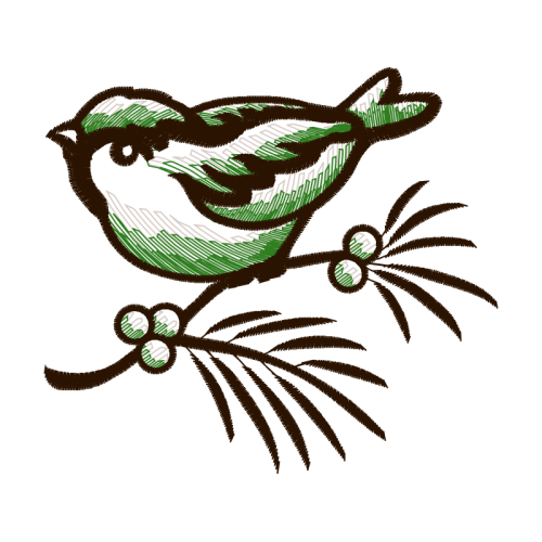 Wrens Animals Wrens Animals