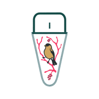 Wrens Animals Wrens Animals