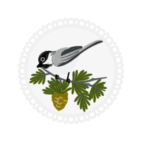 Wrens Animals Wrens Animals