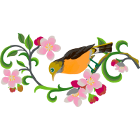 Wrens Animals Wrens Animals