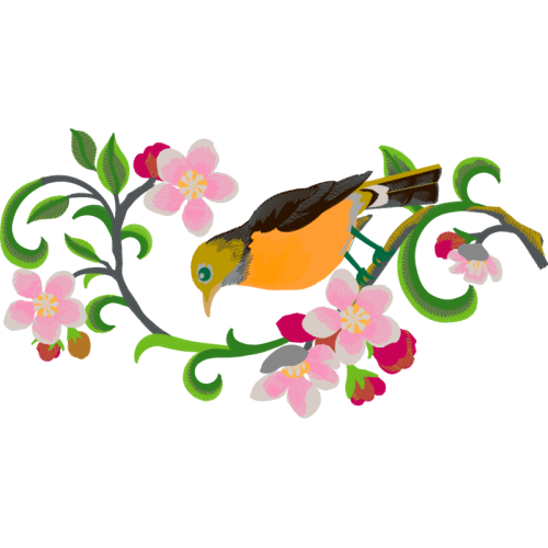 Wrens Animals Wrens Animals