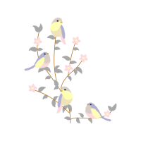 Wrens Animals Wrens Animals