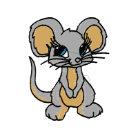 African Wild Dog Animals