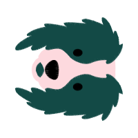 Alligators Animals Alligators Animals