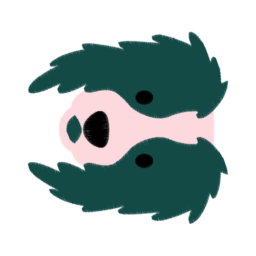 Alligators Animals Alligators Animals