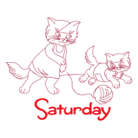 American Shorthair Animals American Shorthair Animals