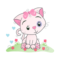 American Shorthair Animals