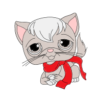 American Shorthair Animals American Shorthair Animals