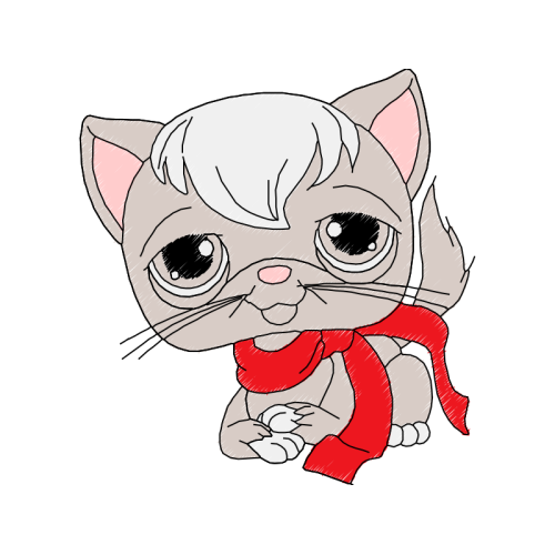 American Shorthair Animals American Shorthair Animals