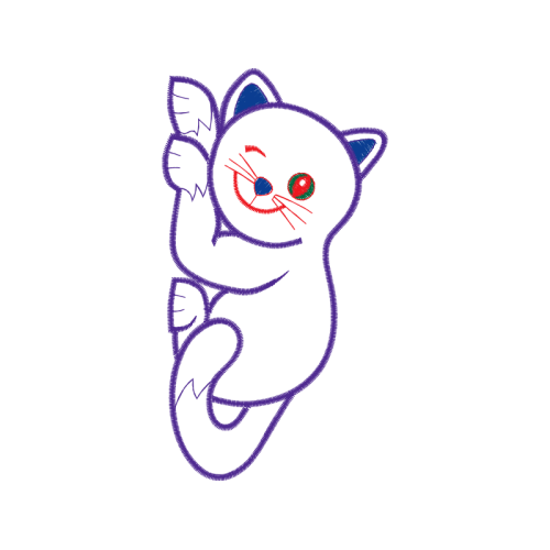 American Shorthair Animals American Shorthair Animals