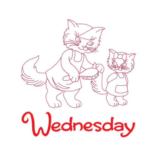 American Shorthair Animals American Shorthair Animals