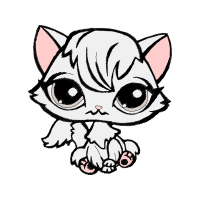 American Shorthair Animals American Shorthair Animals